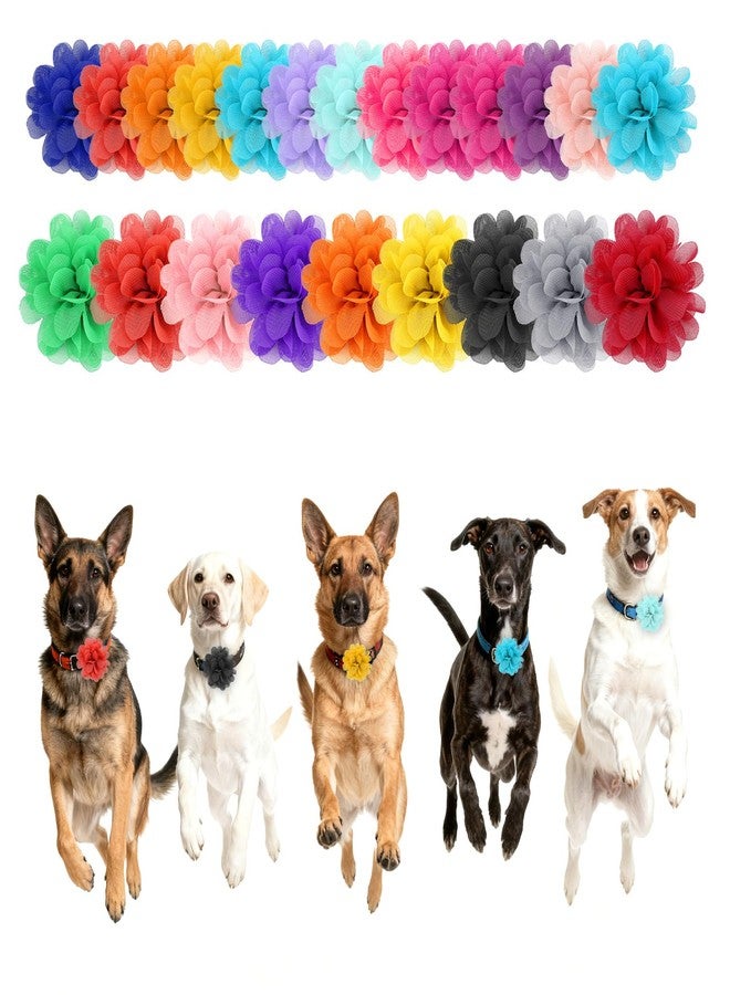 Trinkrittey 20 Pcs Dog Collar Flowers Multicolor Soft Pet Bow Tie 2 Size Girl Boy Dog Chiffon Flower Bow Ties Puppy Pet Charms for Dogs Cat Grooming Charms Supplies (5.5cm 7cm) - Image 5
